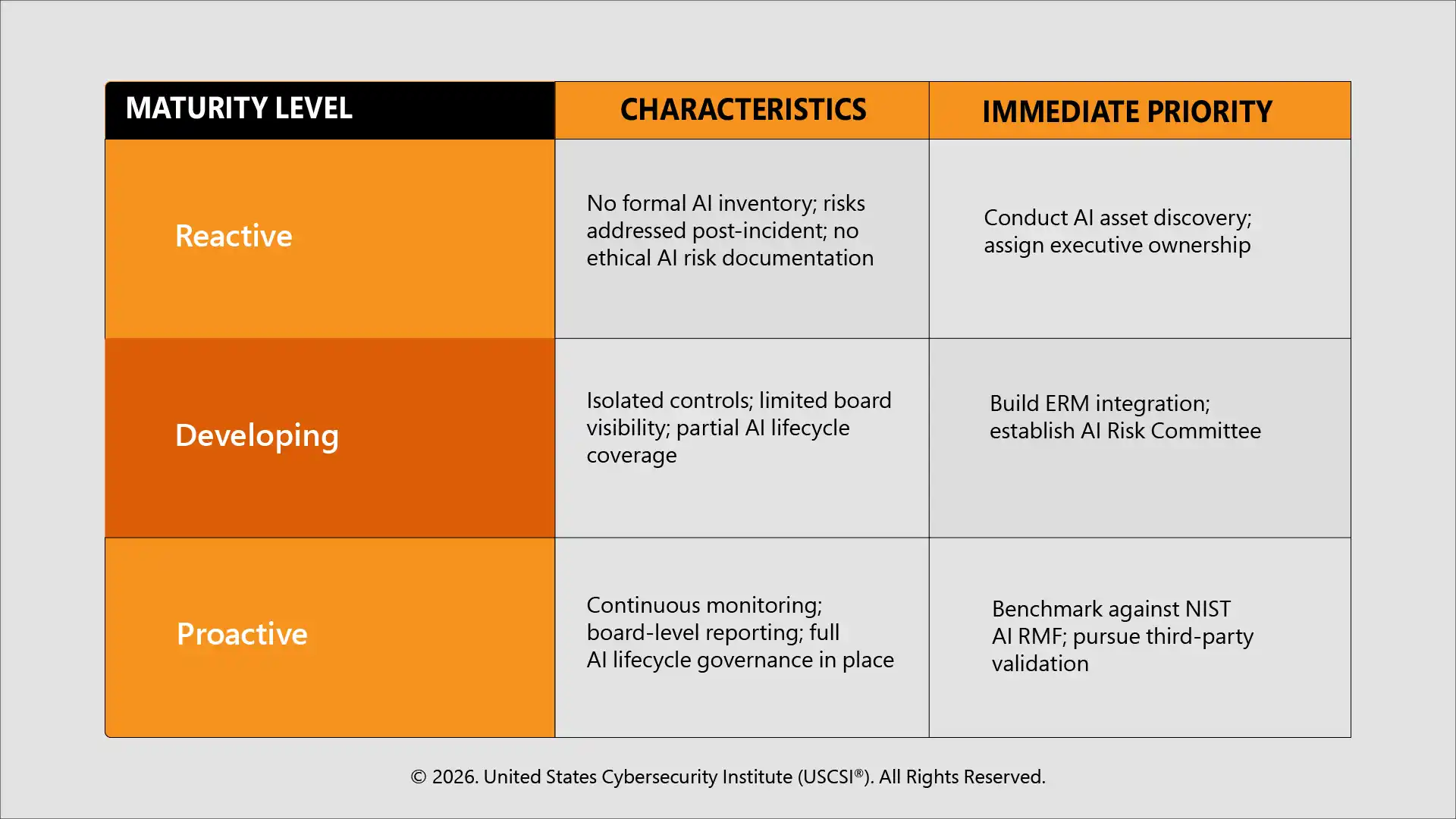 AI Risk Maturity Levels Every Enterprise Leader Must Evaluate